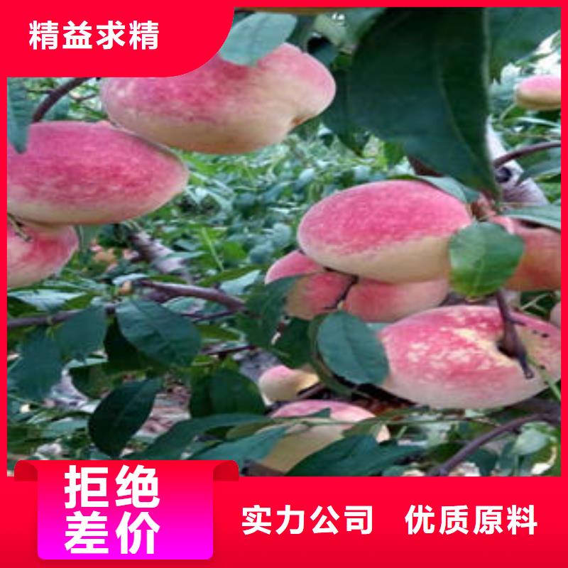 桃树苗_花椒苗质量优选