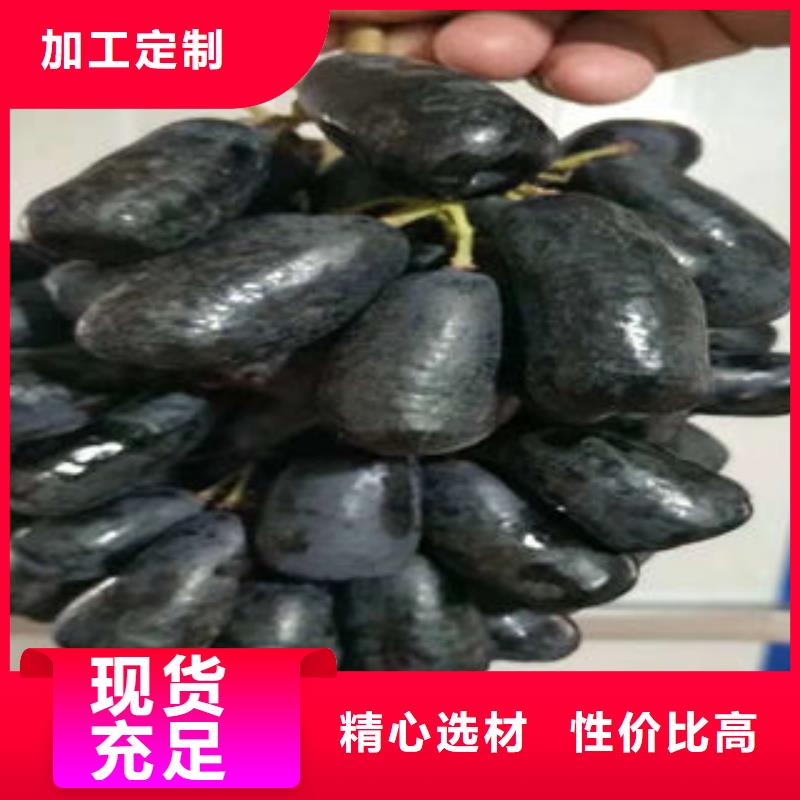 葡萄苗多家仓库发货