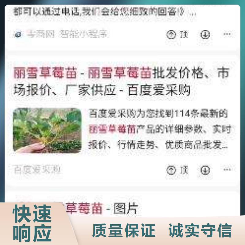 手机百度网络销售质优价廉