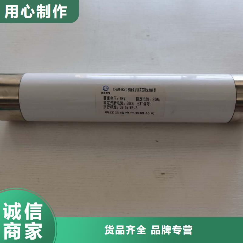 高压熔断器_高压氧化锌避雷器优质货源