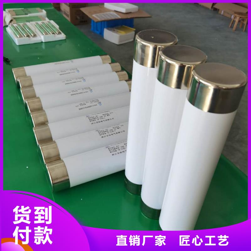 高压熔断器_XRNP-10KV高压限流熔断器专注细节使用放心