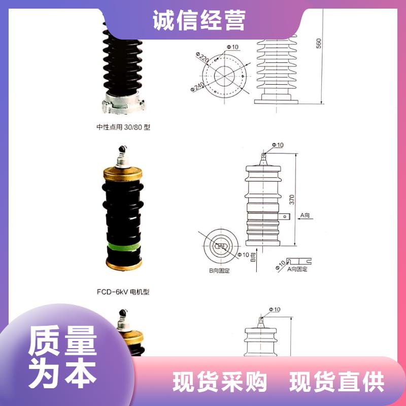 氧化锌避雷器【工地箱】厂家直销规格多样