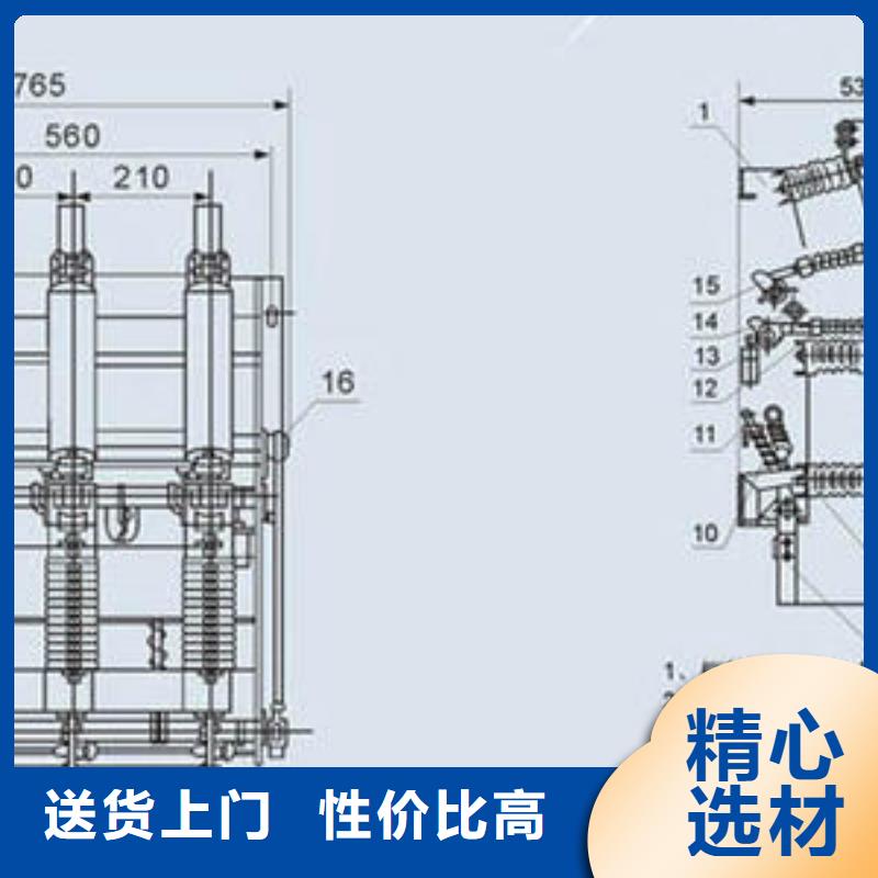 【高压负荷开关FKN12-12/630AN年专注】