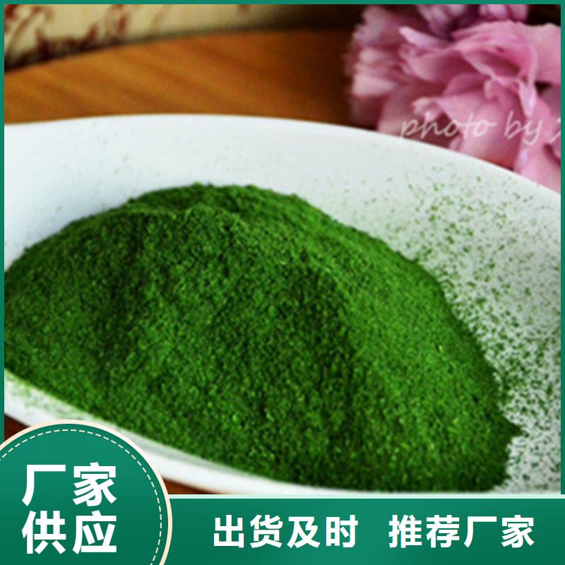 绿色菠菜粉现货厂家