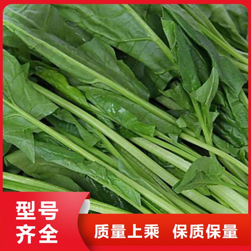 菠菜粉择优推荐