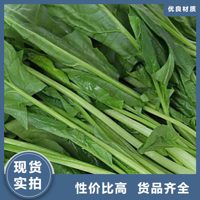 菠菜粉厂家直供