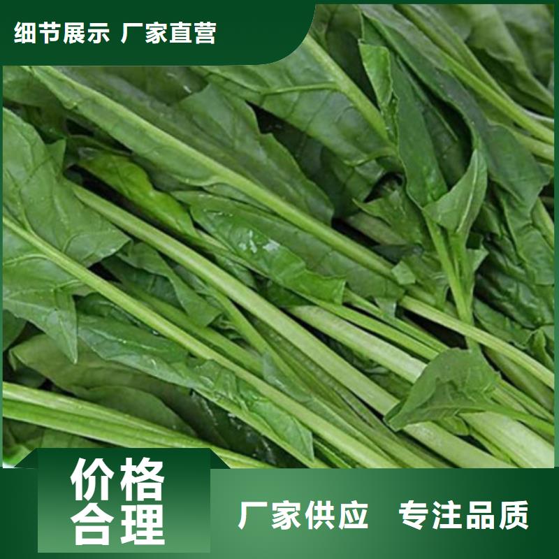 菠菜粉源头厂家