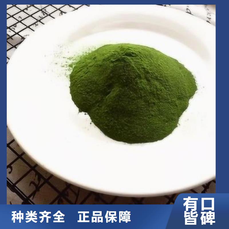 绿色菠菜粉优选厂家