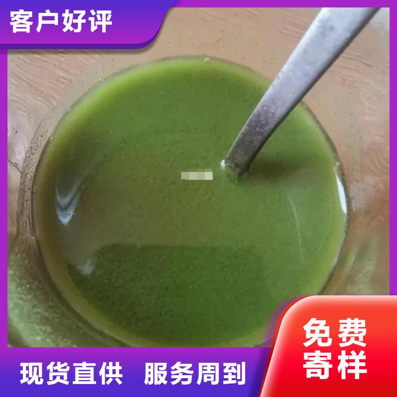 质量好的羽衣甘蓝粉大型厂家