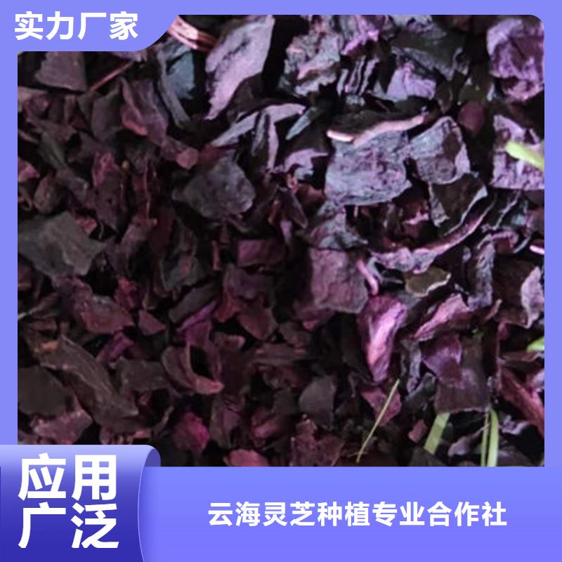 【紫薯丁】灵芝切片物流配送