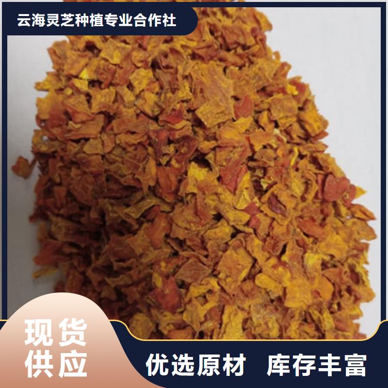 南瓜丁【灵芝菌种】为您提供一站式采购服务