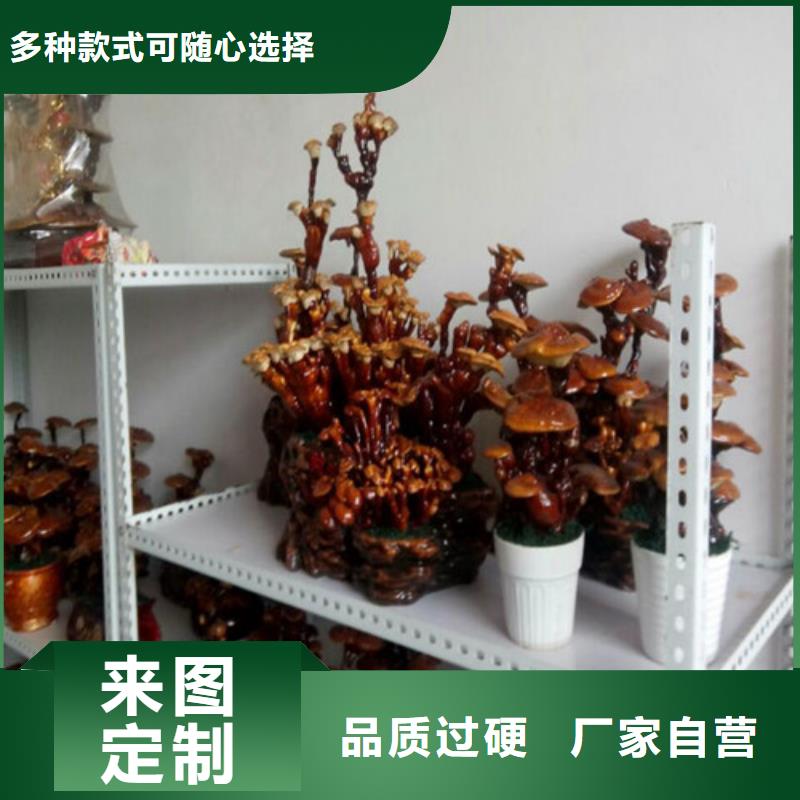 灵芝孢子粉-用心做产品