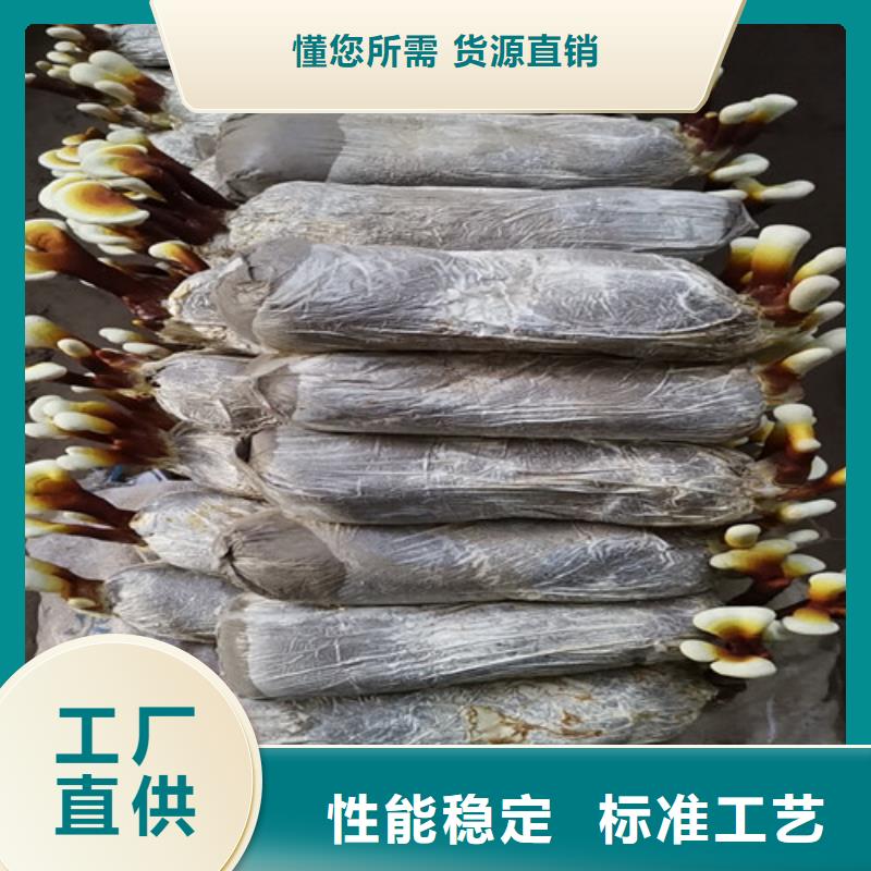 
灵芝超细粉批发厂家价格优惠