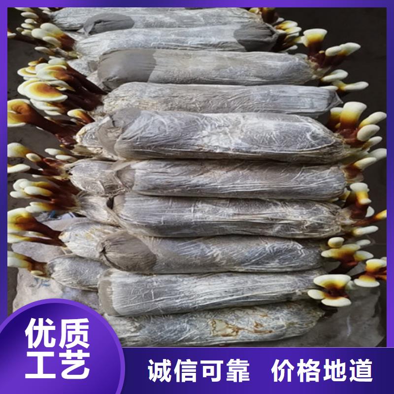 灵芝孢子粉-用心做产品