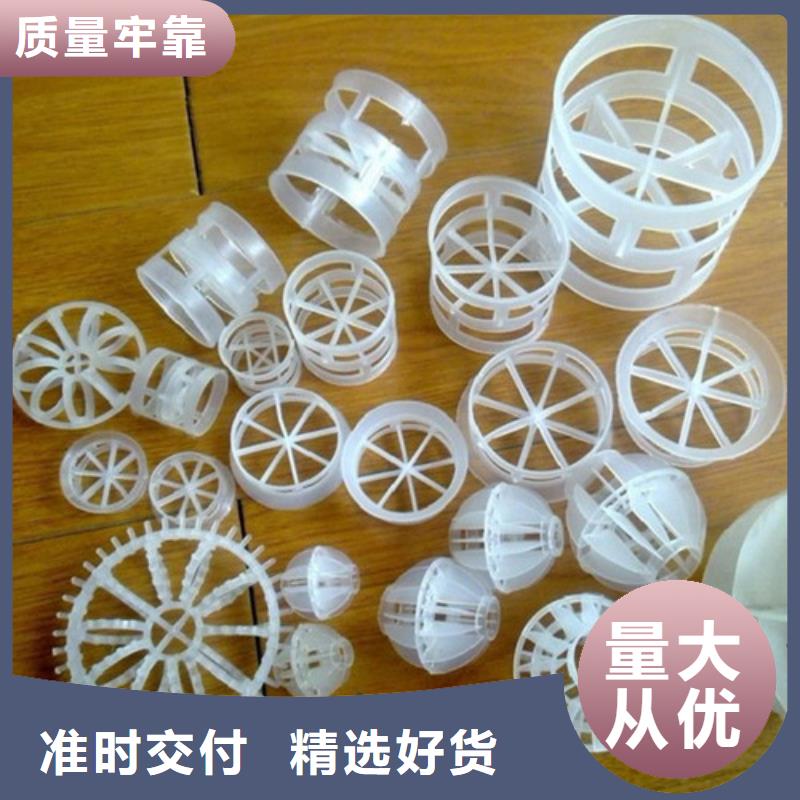 鲍尔环填料【活性炭】厂家新品