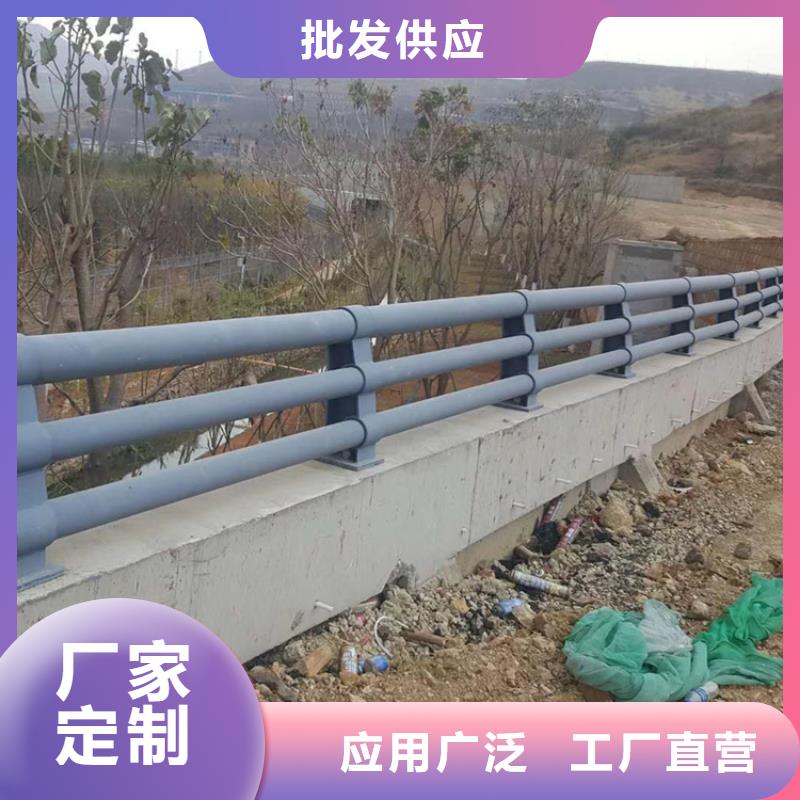 氟碳漆喷塑河道防撞护栏展鸿护栏源头厂家