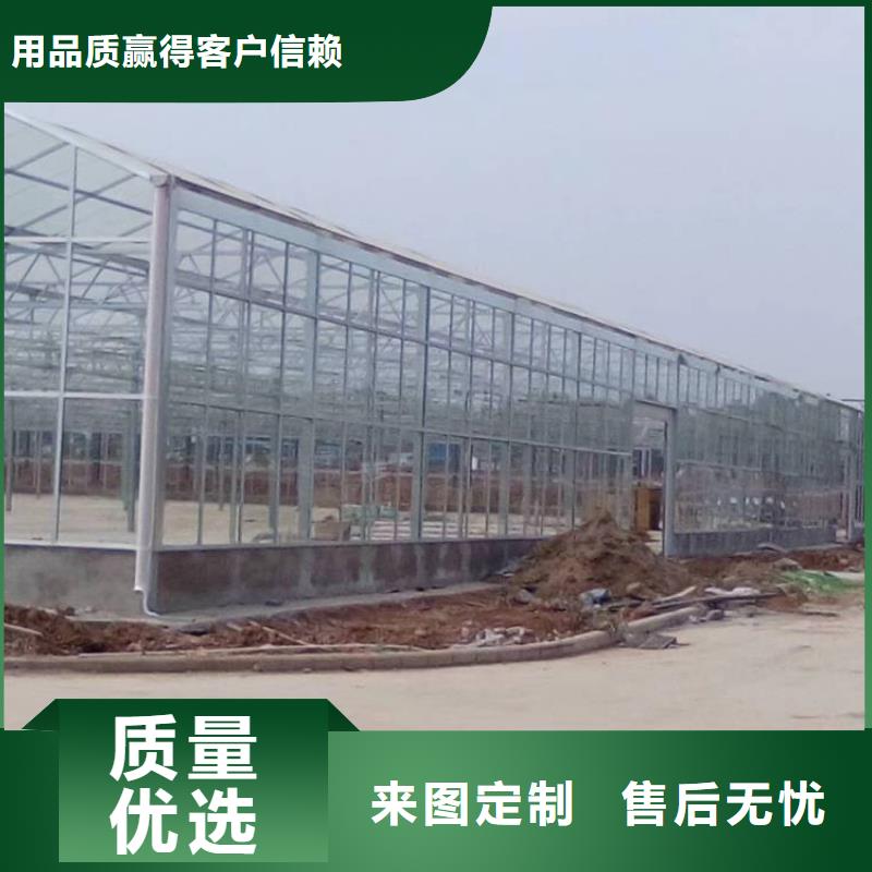 绿色植物大棚管了解更多2025