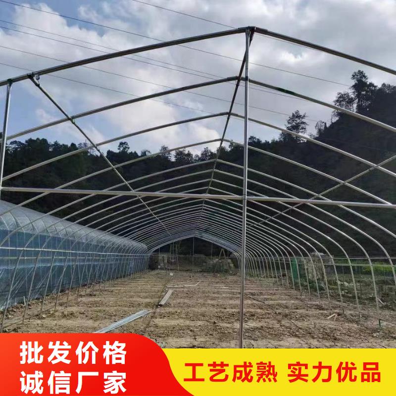 岳池春秋冷棚推荐货源2025