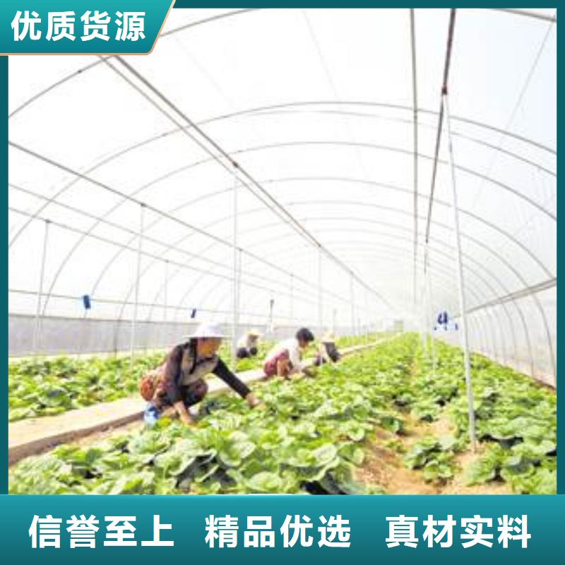 蔬菜骨架钢管厂家报价2025