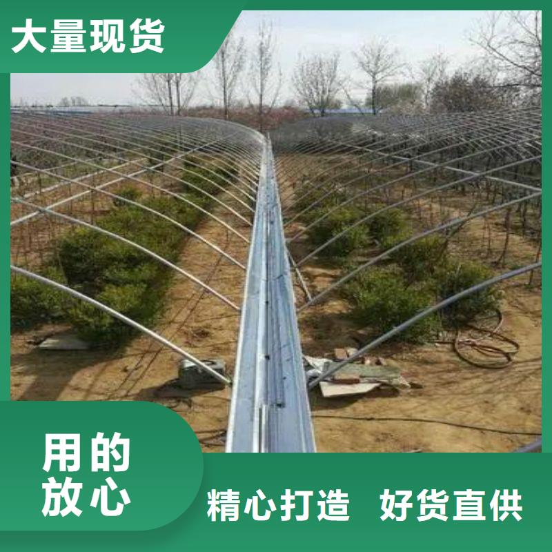 八步连栋大棚种植价格公道2025