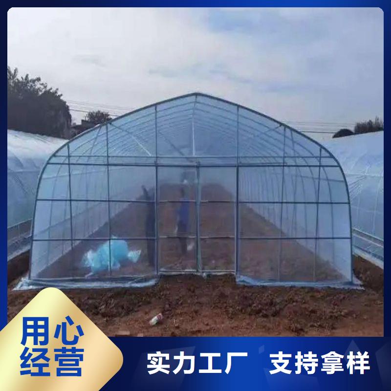 曹县种植棚量大从优