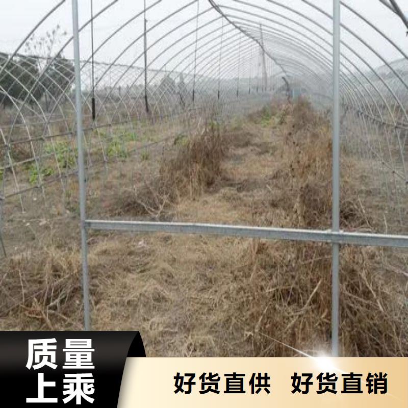 穆棱县温室大棚热镀锌钢管下单