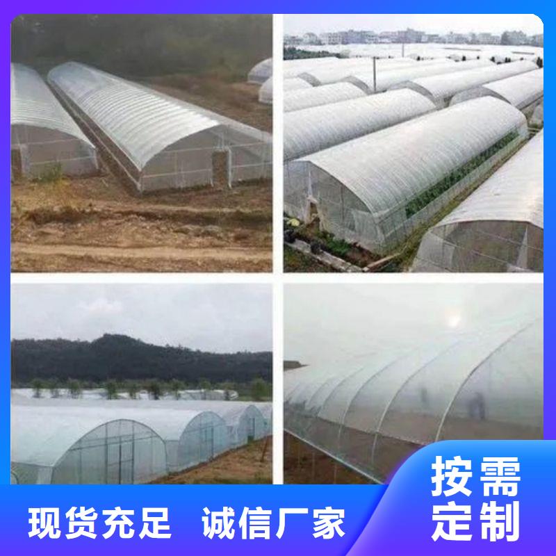 休宁大棚材料种植基地