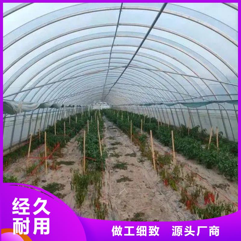 镀锌钢管dn100择优推荐