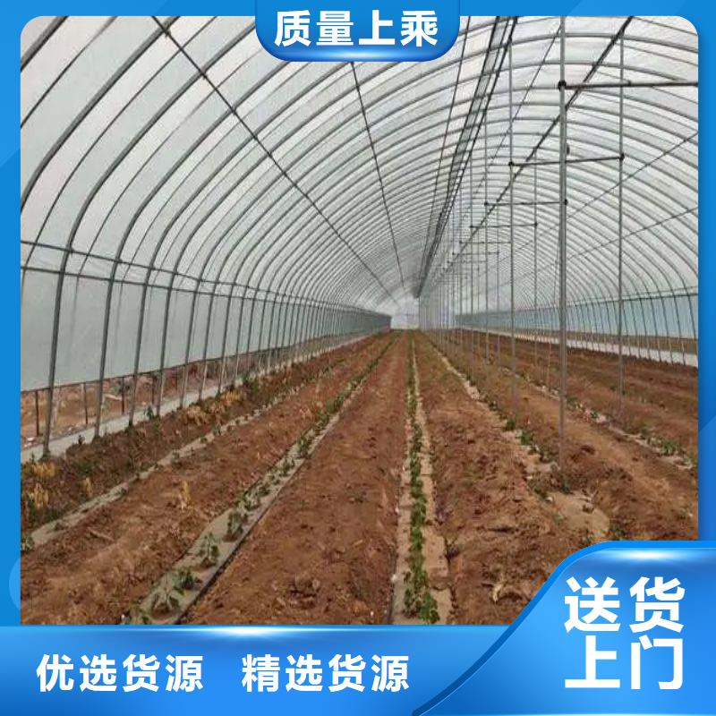 万柏林区大棚用镀锌管种植基地