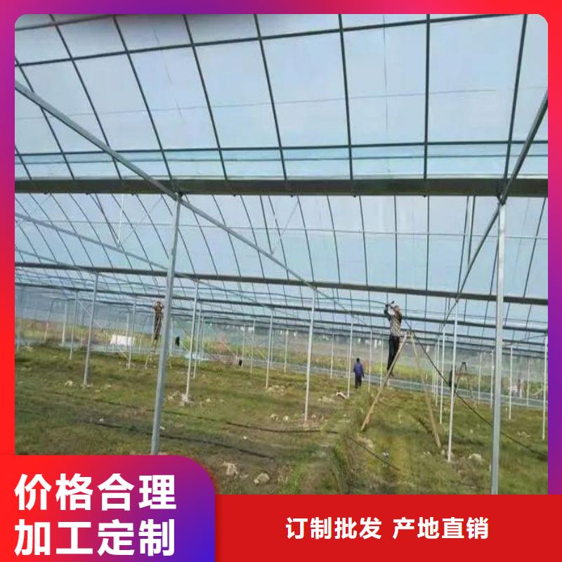 休宁大棚材料种植基地