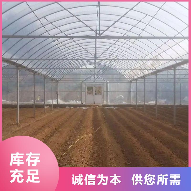 蔬菜连栋大棚喜欢