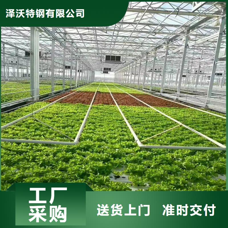 铁东连栋大棚种植近期行情2025