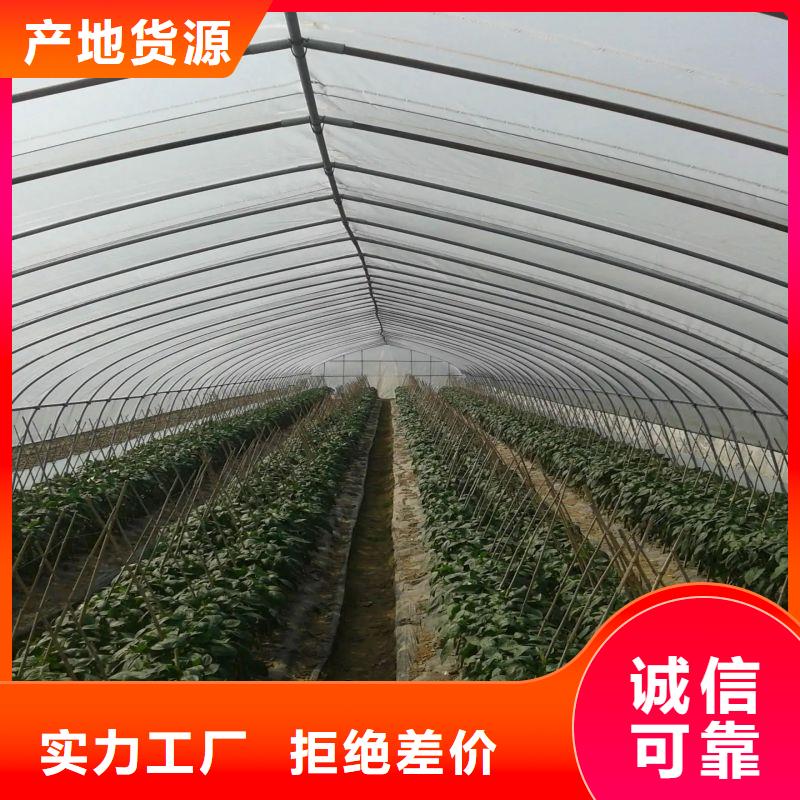 新沂市防虫网靠谱厂家