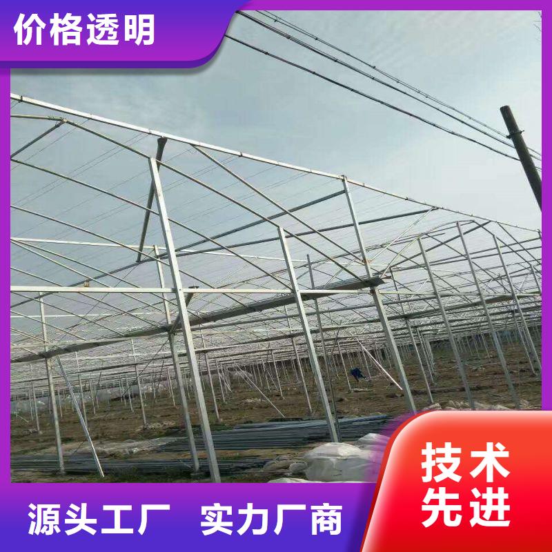 容桂街道单体温室种植基地