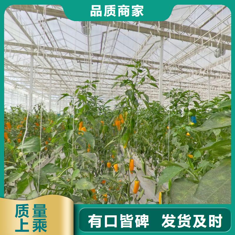 大棚管2温室大棚管放心得选择