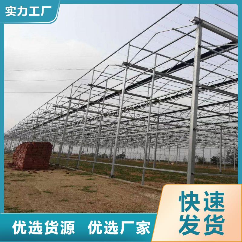 容桂街道单体温室种植基地