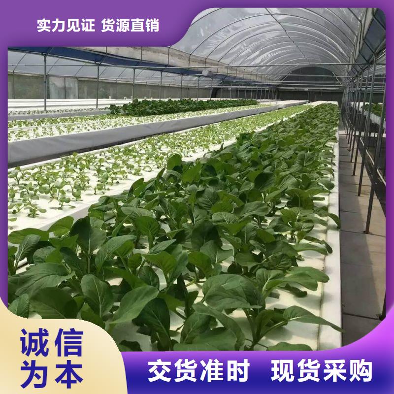 大棚管2温室大棚工艺层层把关