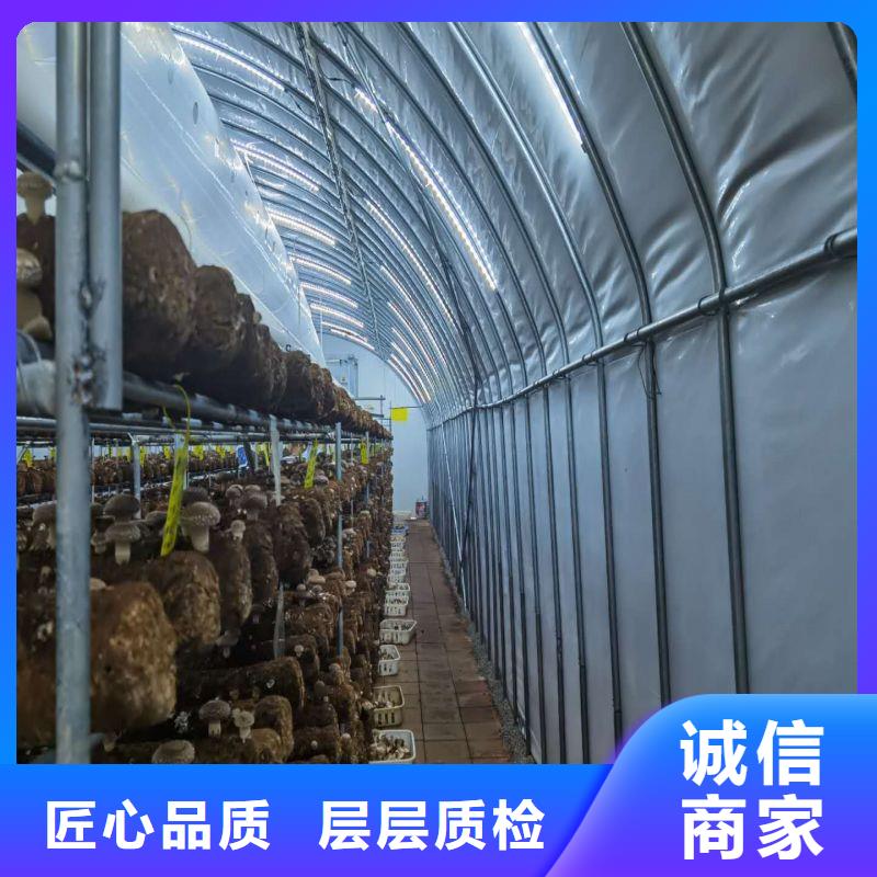 万柏林区大棚用镀锌管种植基地