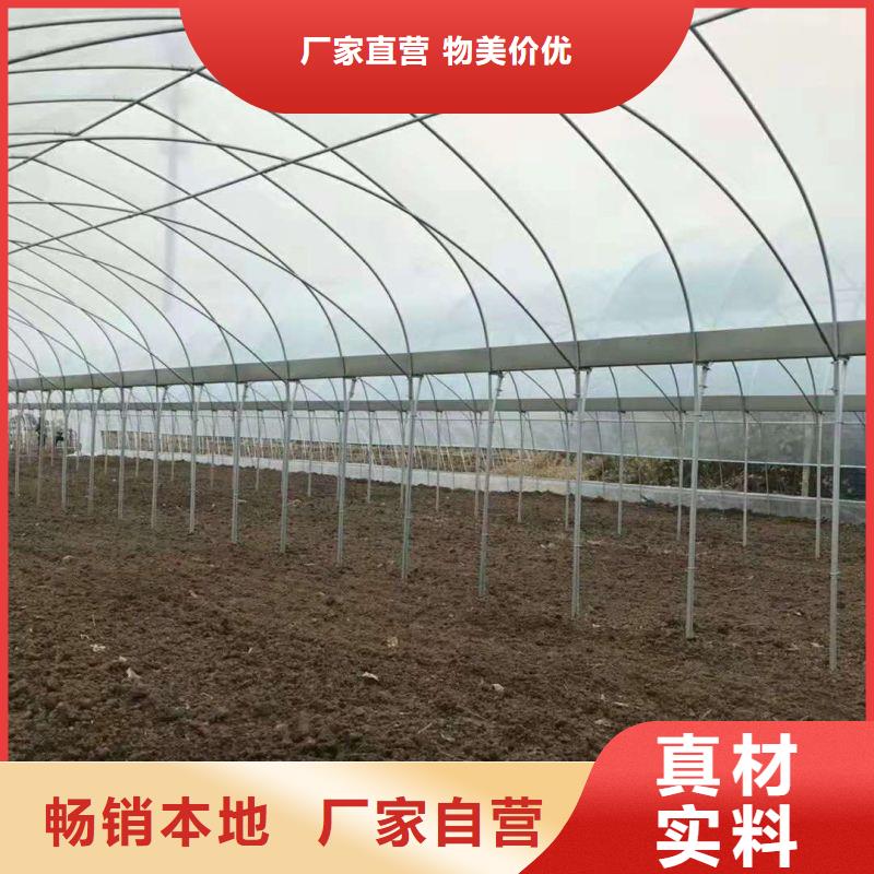 万柏林区大棚用镀锌管种植基地