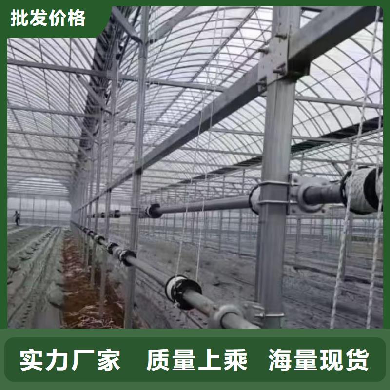 饶平县蔬菜连栋温室大棚订制