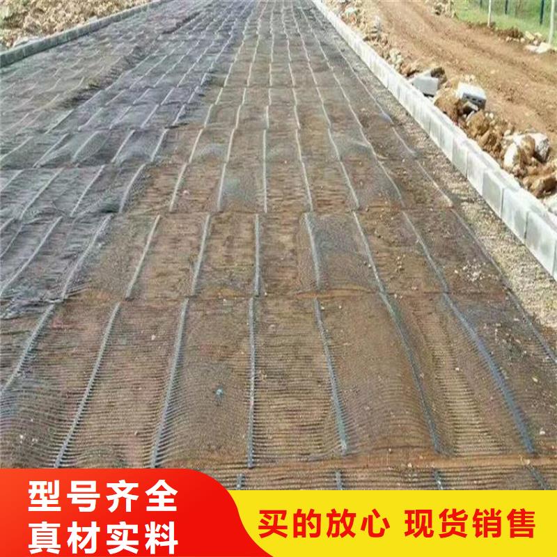 【单向塑料土工格栅-HDPE土工膜支持定制批发】