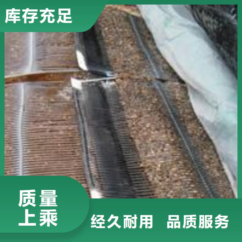 单向塑料土工格栅三维植被网供货及时