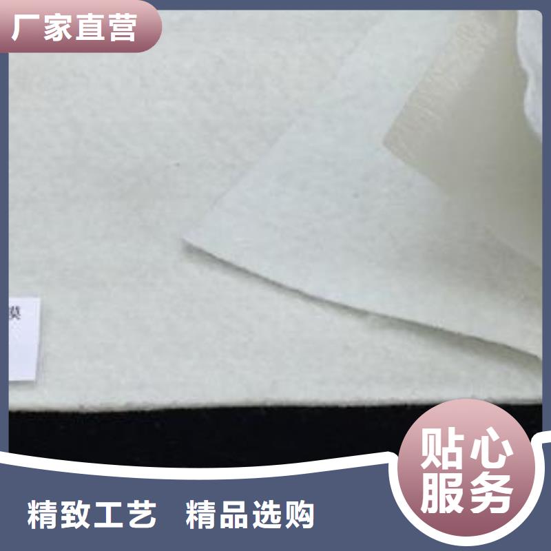 复合土工膜,双向拉伸塑料格栅按需设计