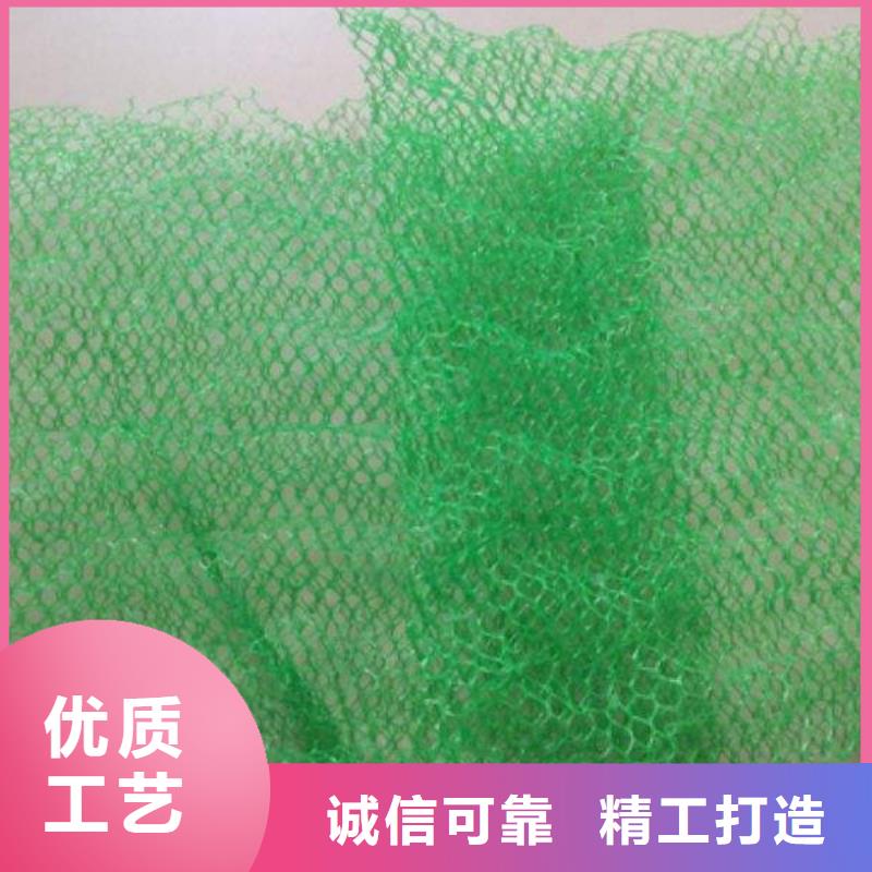 三维植被网【土工布】品质好才是硬道理