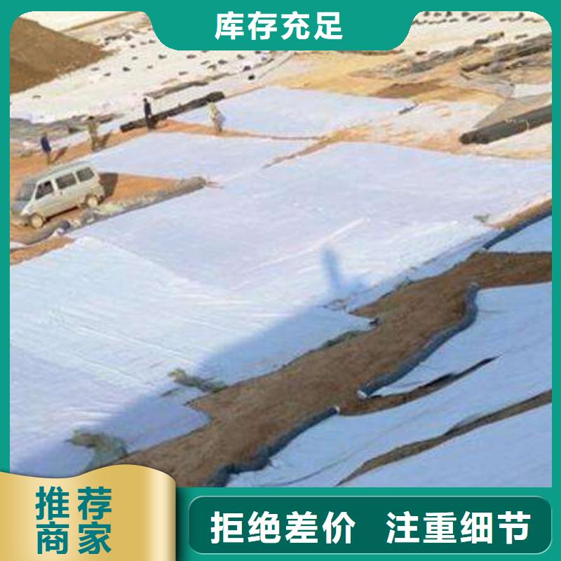 膨润土防水毯玻纤土工格栅价格公道合理