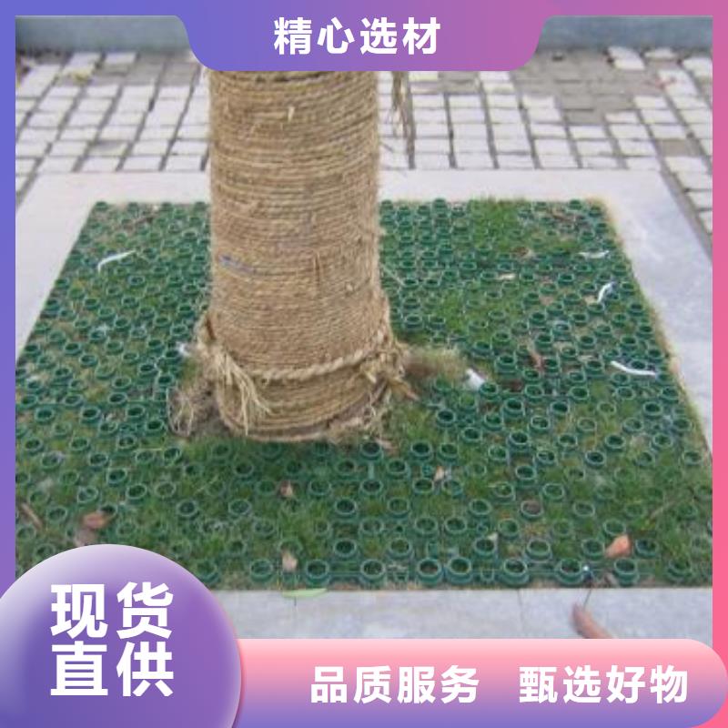 植草格塑料土工滤网产地货源