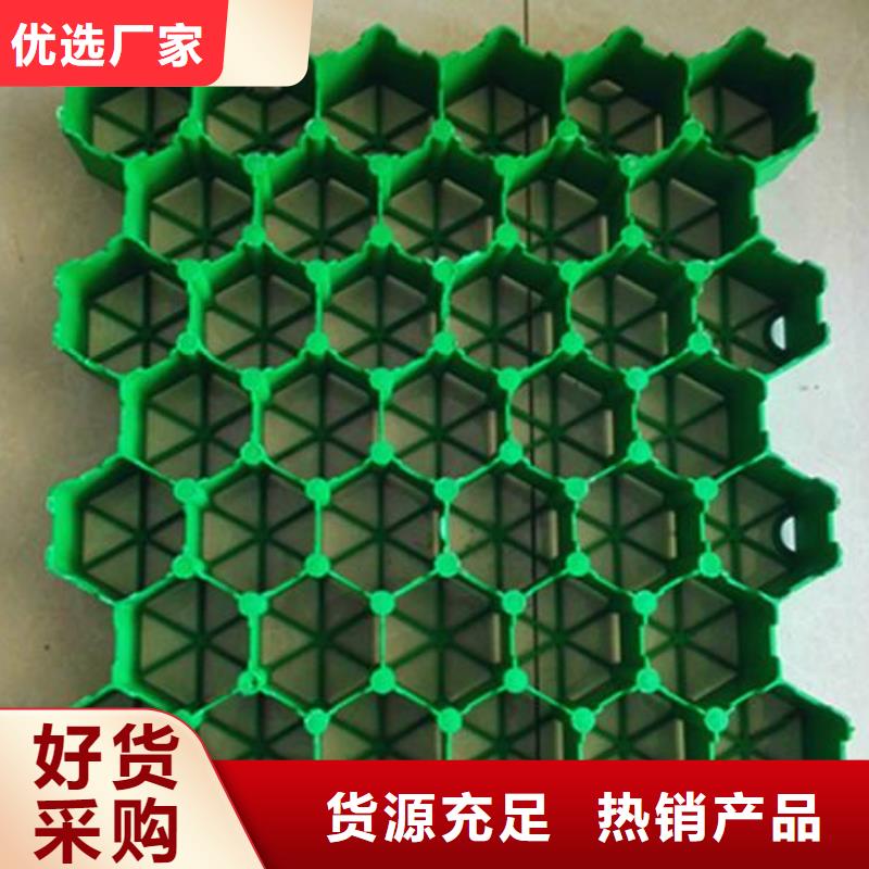 植草格【双向拉伸塑料格栅】主推产品