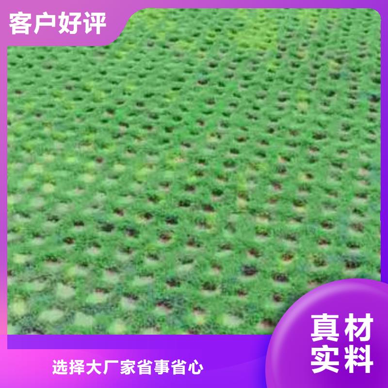 植草格,复合土工膜热销产品