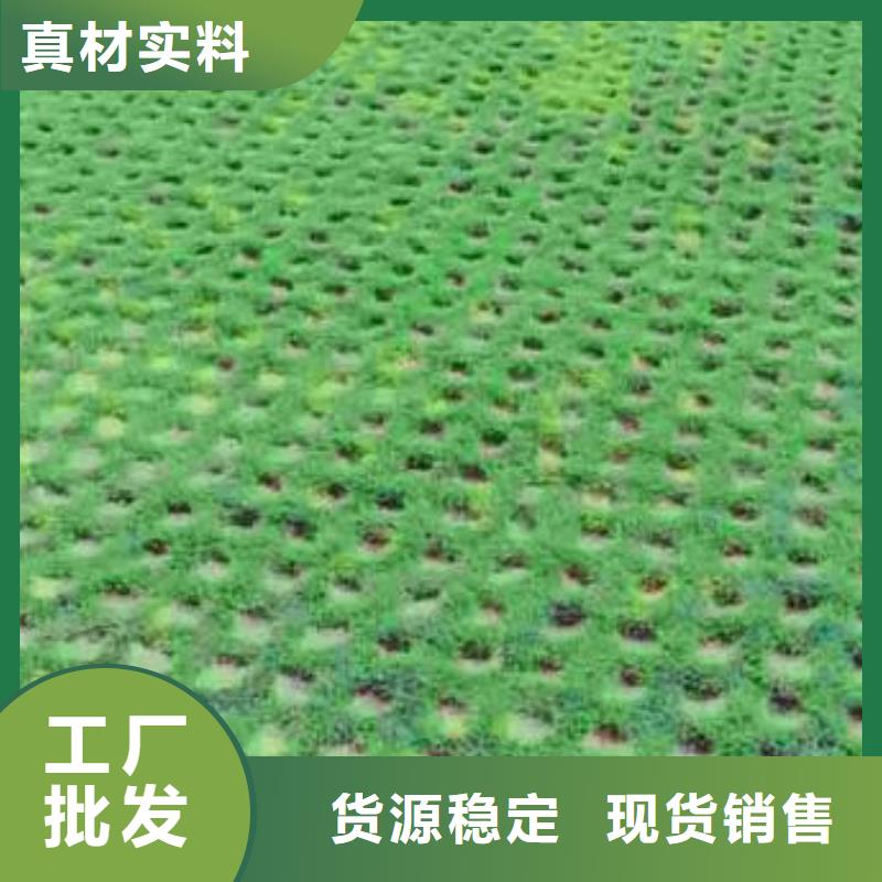 【植草格】长丝土工布详细参数