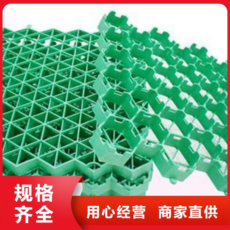 植草格【双向拉伸塑料格栅】主推产品